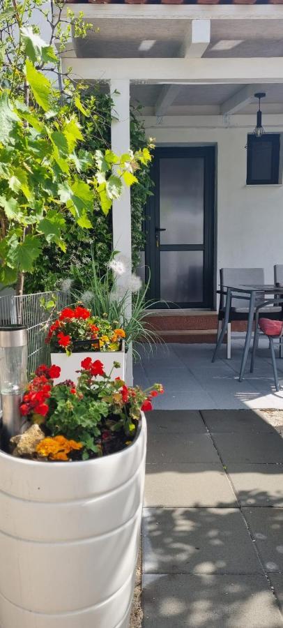 Apartman Stura 1 زادار المظهر الخارجي الصورة